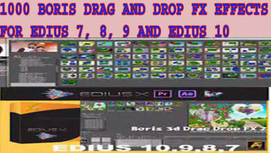 1000 BORIS DRAG AND DROP FX EFFECTS FOR EDIUS.