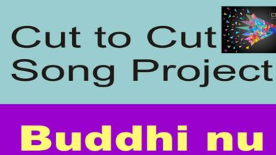 Budhi nu matke punjabi song edius project