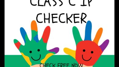 Class C Ip Checker