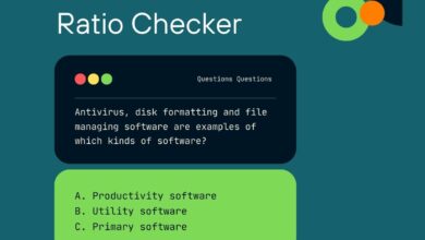 Code to Text Ratio Checker