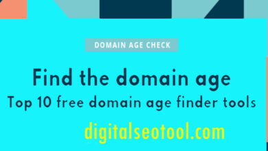 Domain Age Checker