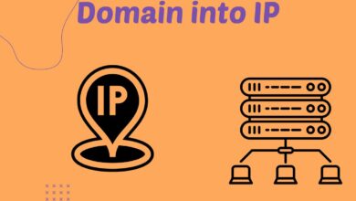 Domain into IP