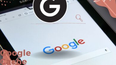 Google Cache Checker Tool