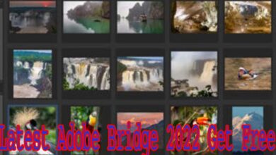 Latest Adobe Bridge 2022 Get Free