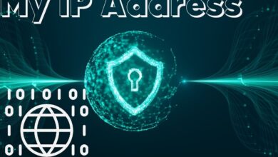 My IP Address Checker