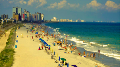 Cheap Flights from Florida to South Carolina