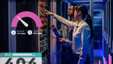 Server Status Checker