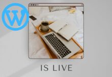 The most important plugin on WordPress website