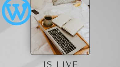 The most important plugin on WordPress website
