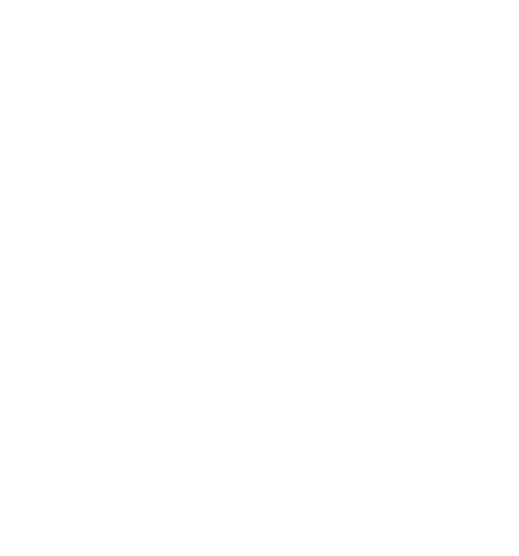 icon diploma