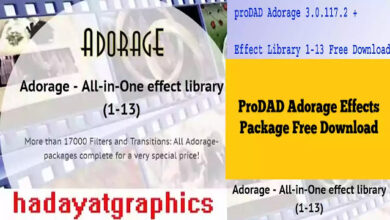 proDAD Adorage 3.0.117.2 + Effect Library 1-13 Free Download