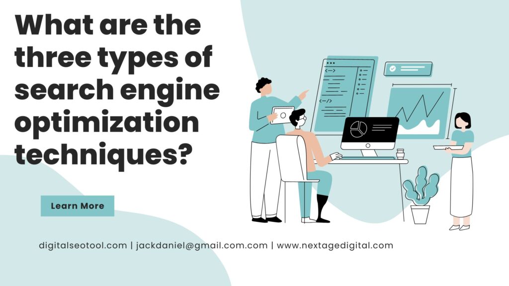 What are the three types of search engine optimization techniques?